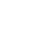 Ants